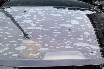 后擋風玻璃真的不能貼膜？很多人都理解錯了，電熱絲不該背鍋！